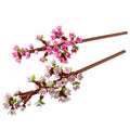 40725 Cherry Blossoms