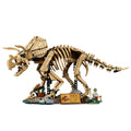 77985 Dinosaur Fossils: Triceratops