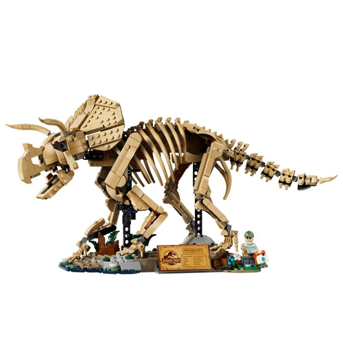 77985 Dinosaur Fossils: Triceratops