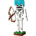 21594 The Skeleton