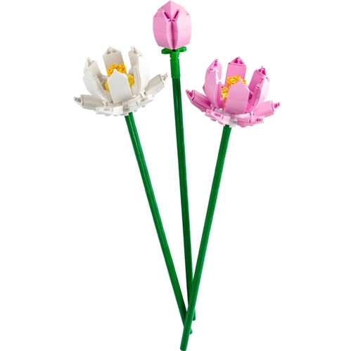 40647 Lotus Flowers