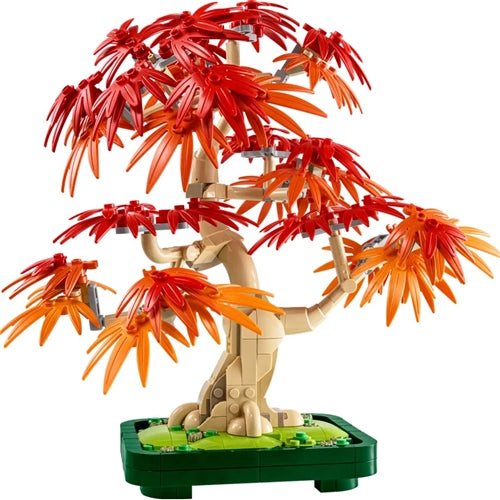 10348 Japanese Red Maple Bonsai Tree
