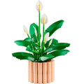 11504 Peace Lily