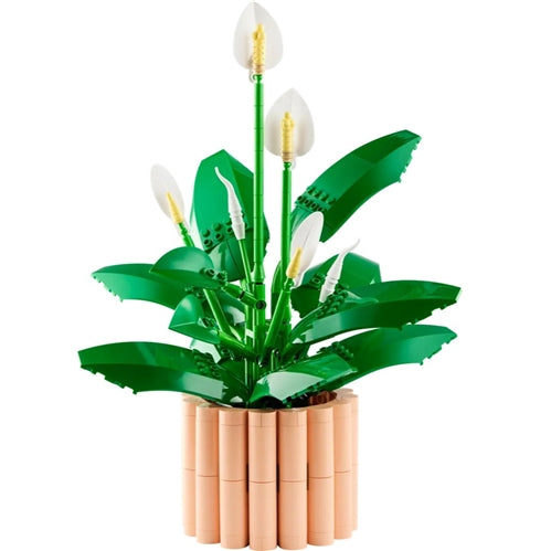 11504 Peace Lily