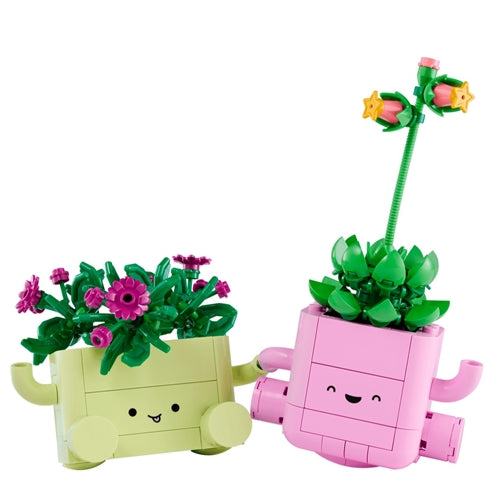 11506 Rocking Plants