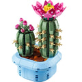 11509 Flowering Cactus