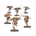 31-162 Venatari Sodality